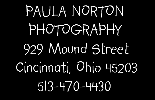 Paula Norton Photography